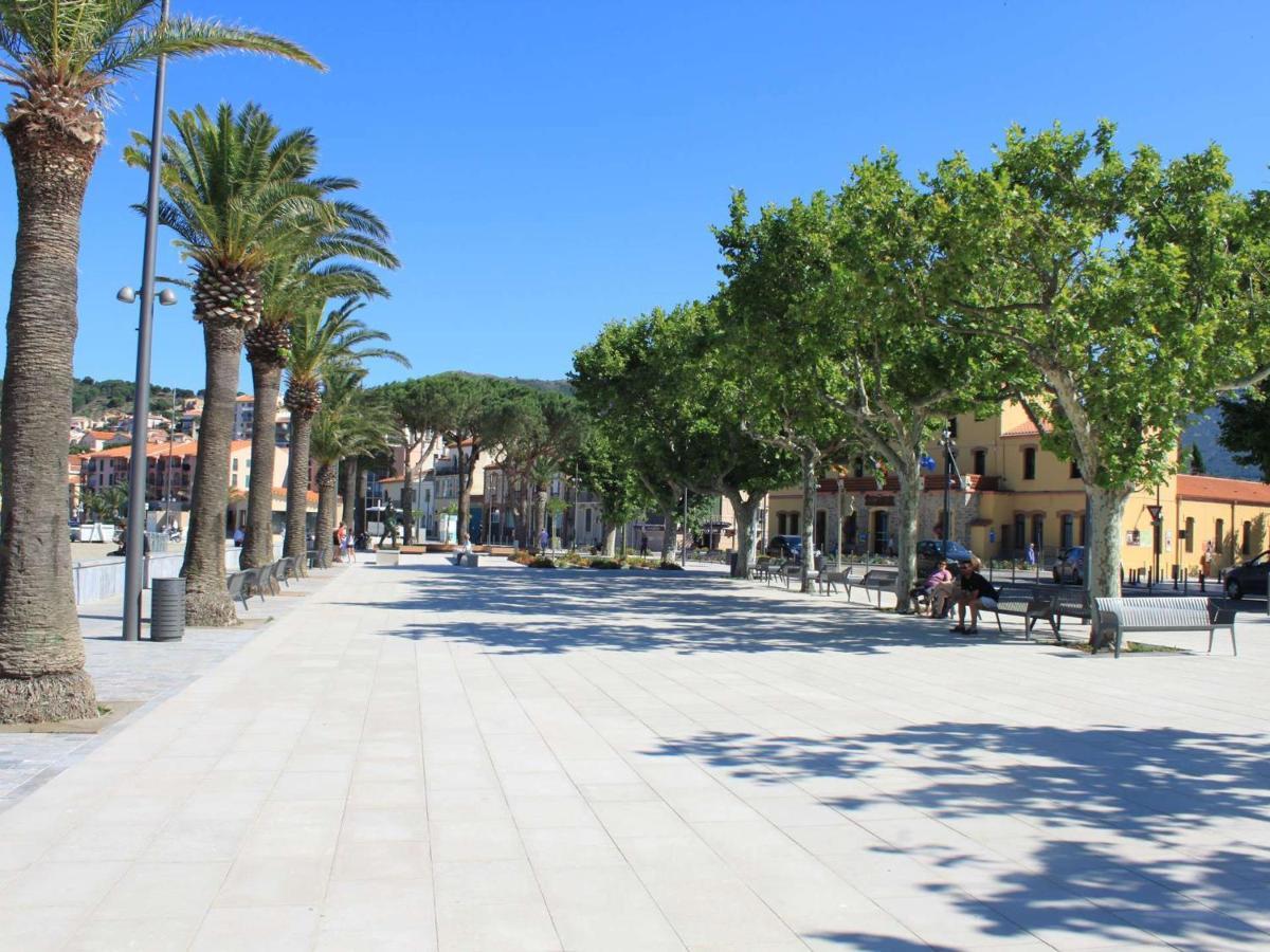 Appart T1 A 250M Plage, Clim, Wifi, Parking, Centre Banyuls - Fr-1-225C-75 Ngoại thất bức ảnh